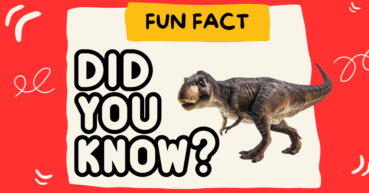 Fun and Fascinating Facts About Animals for Kids and Adults- Amazing Facts for Everyone!