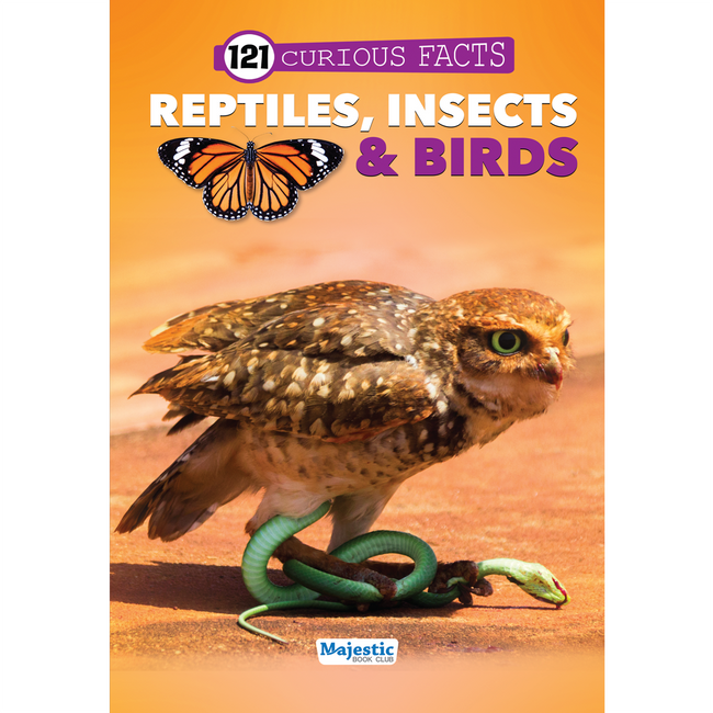 121 Reptiles, Insects & Birds Facts Book for Kids Ages 8+ | Educational Paperback with Colourful Images & Bold Text | 121 Curious Facts for All Ages by Majestic Book Club