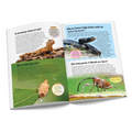 121 Reptiles, Insects & Birds Facts Book for Kids Ages 8+ | Educational Paperback with Colourful Images & Bold Text | 121 Curious Facts for All Ages by Majestic Book Club