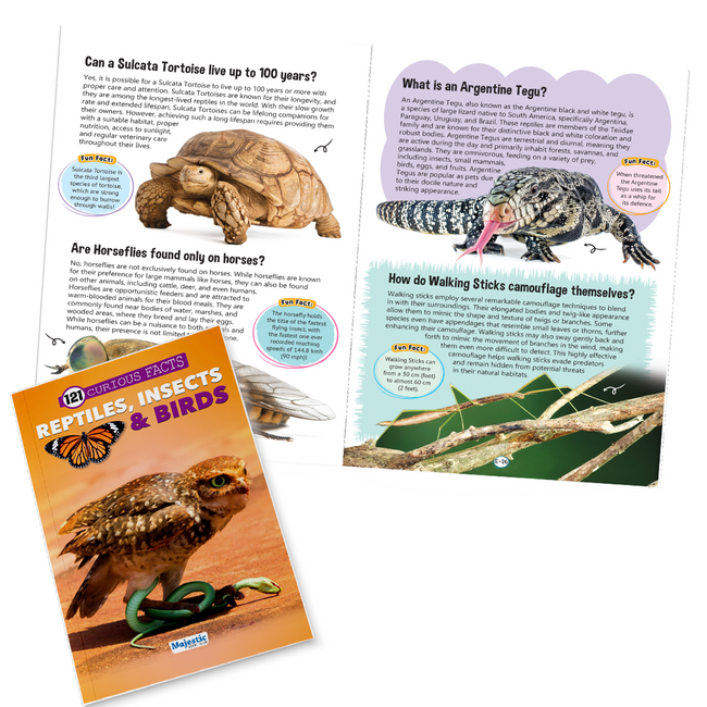 121 Reptiles, Insects & Birds Facts Book for Kids Ages 8+ | Educational Paperback with Colourful Images & Bold Text | 121 Curious Facts for All Ages by Majestic Book Club