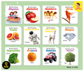 My First Learning Little Librarian- PART 1 (Set of 12 Board Books)