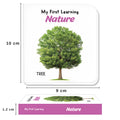 My First Learning Little Librarian: Boxset of 24 Best Board Books for Kids