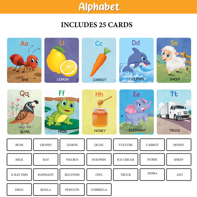 My First 100 Illustrated Flashcards: Alphabet, Numbers, My Body & Shapes - Explore The ABCs, Numbers, Anatomy, and Shapes, Fostering Early Literacy, numeracy, and Cognitive Development in Toddlers.