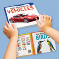Early Learning Board Book Set for Kids Ages 1+ | 5 Book Set for Toddlers | Shapes & Colours, Birds, Domestic Animals, Wild Animals, and Vehicles | Gift for 1+ Year Old Boys and Girls | Educational Picture Board Books