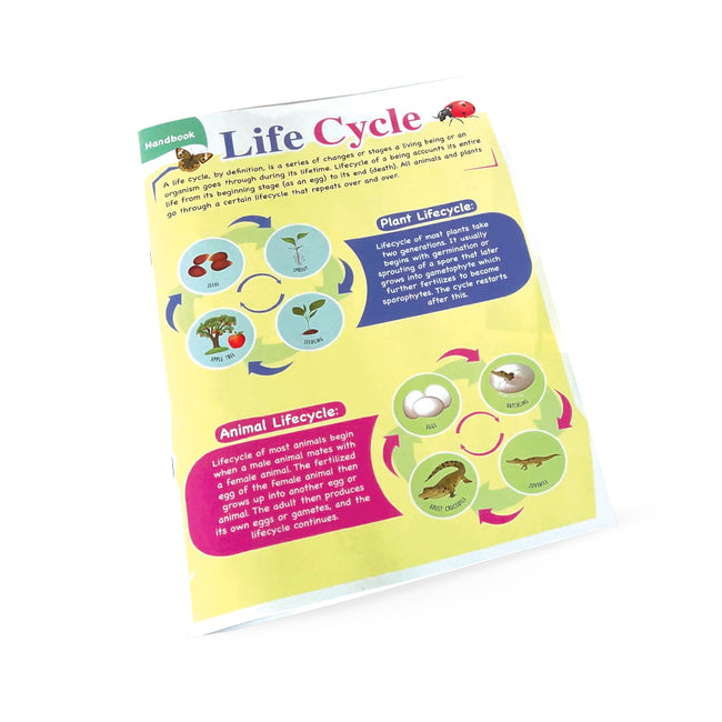 Ultimate Life Cycle Toys for Kids, Learning & Educational Toys, Montessori Toys for Toddler Preschool Science Learning Activities Toys for Age 3 4 5 6 7 8+