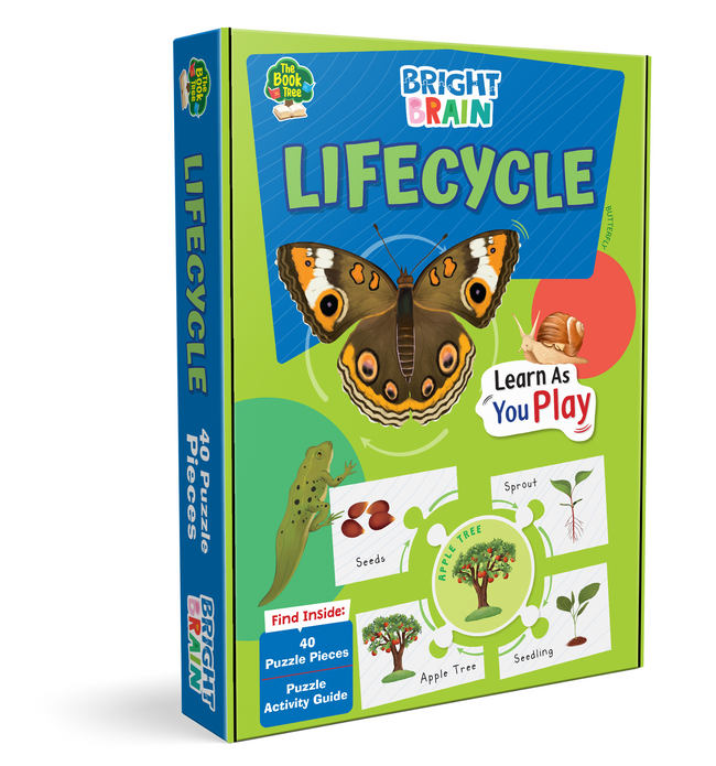 Bright Brain Lifecycle Puzzle - Explore & Understand Lifecycles with 40 Puzzle Pieces – Perfect for Kids Age 3+ - Gift Box by Majestic Book Club