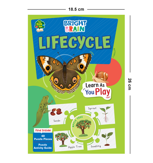 Bright Brain Lifecycle Puzzle - Explore & Understand Lifecycles with 40 Puzzle Pieces – Perfect for Kids Age 3+ - Gift Box by Majestic Book Club