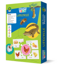 Bright Brain Lifecycle Puzzle - Explore & Understand Lifecycles with 40 Puzzle Pieces – Perfect for Kids Age 3+ - Gift Box by Majestic Book Club