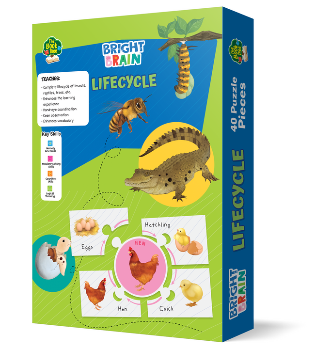 Bright Brain Lifecycle Puzzle - Explore & Understand Lifecycles with 40 Puzzle Pieces – Perfect for Kids Age 3+ - Gift Box by Majestic Book Club