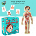 Human Body Puzzle Box for Kids I 50+ Jigsaw Puzzle Pieces & 25 My Body Flashcards I Educational Toy for Children Age 4+ I for Children