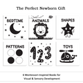 High Contrast Books for Babies & Infants | Box Set of 6 Books | Black & White Educational Books | Visual & Sensory Stimulation