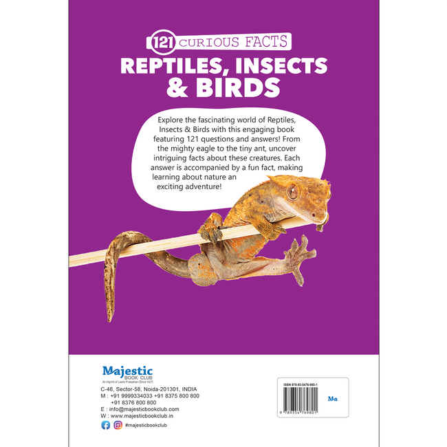121 Reptiles, Insects & Birds Facts Book for Kids Ages 8+ | Educational Paperback with Colourful Images & Bold Text | 121 Curious Facts for All Ages by Majestic Book Club