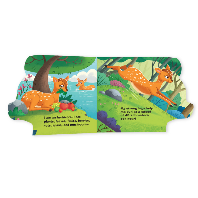 Wild Animals Shaped Board Books I Board Books for Children Age 2+ I Set of 6 Books (12 Pages in each book) I Picture Book for Kids I Beautiful Illustrations I Set 2