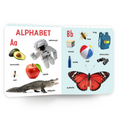 My First Book of Early Learning Concepts | Early Learning Board Book for Kids Ages 2+ | First Book of Alphabet, Numbers, Colours & Shapes
