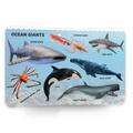 My first 100 creatures of the sea | 100 sea animals | Early Learning Board Book for Kids Aged 2+
