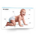 My First Book of Human Body | Early Learning Board Book for kids Ages 2+ | First Human Body Picture Book for Toddlers