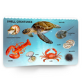 My first 100 creatures of the sea | 100 sea animals | Early Learning Board Book for Kids Aged 2+