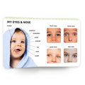 My First Book of Human Body | Early Learning Board Book for kids Ages 2+ | First Human Body Picture Book for Toddlers