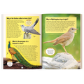 121 Reptiles, Insects & Birds Facts Book for Kids Ages 8+ | Educational Paperback with Colourful Images & Bold Text | 121 Curious Facts for All Ages by Majestic Book Club