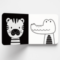 High Contrast Books for Babies & Infants | Box Set of 6 Books | Black & White Educational Books | Visual & Sensory Stimulation