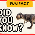 Fun and Fascinating Facts About Animals for Kids and Adults- Amazing Facts for Everyone!