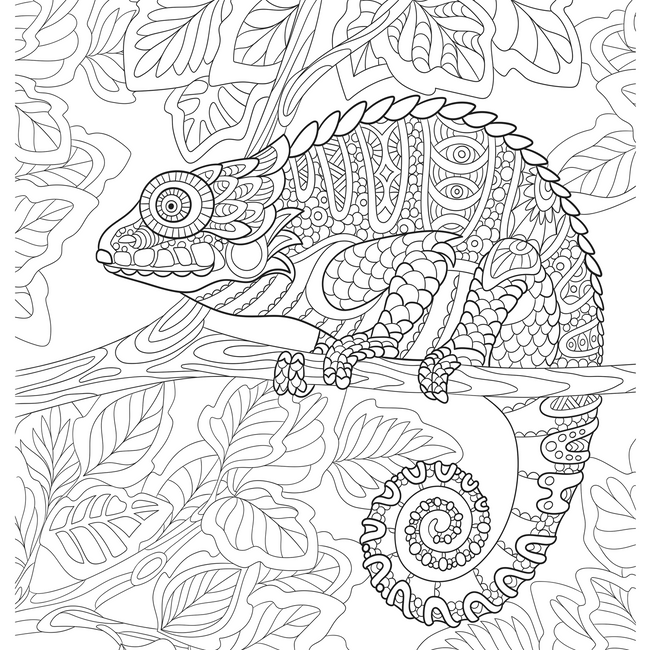 Animals Colouring Book for Adults, Stress Relieving Wildlife and Nature Designs for Relaxation and Mindfulness, Bold and Easy Anti-Stress Art Therapy Book, Gift for Men and Women
