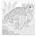 Mindfulness Colouring Book for Adults, Calming Stress Relief Designs for Relaxation and Meditation, Zentangle Nature Art Women and Men