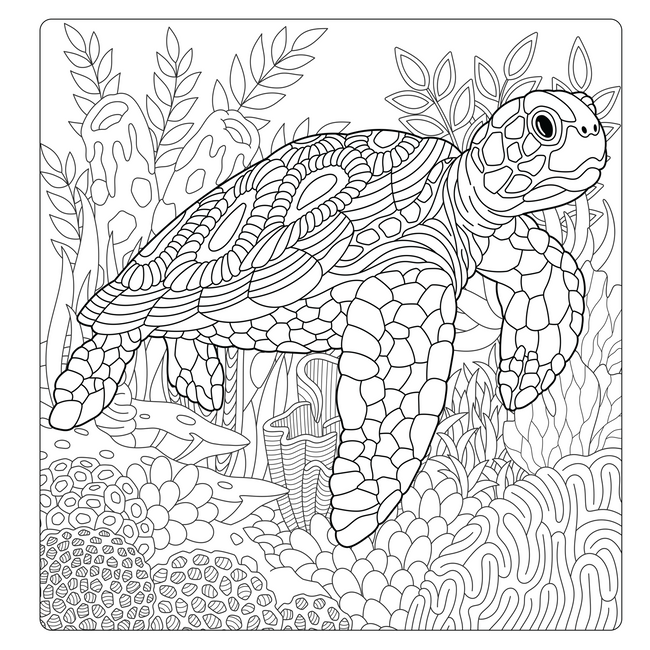 Mindfulness Colouring Book for Adults, Calming Stress Relief Designs for Relaxation and Meditation, Zentangle Nature Art Women and Men