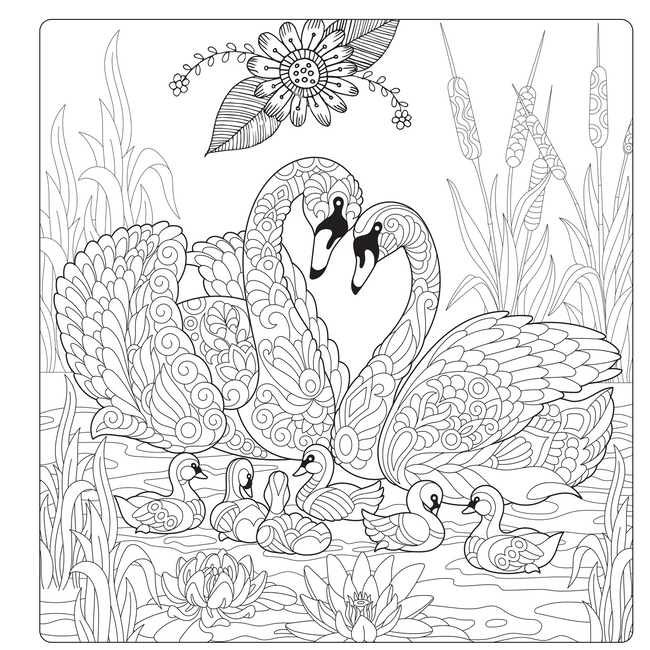 Mindfulness Colouring Book for Adults, Calming Stress Relief Designs for Relaxation and Meditation, Zentangle Nature Art Women and Men