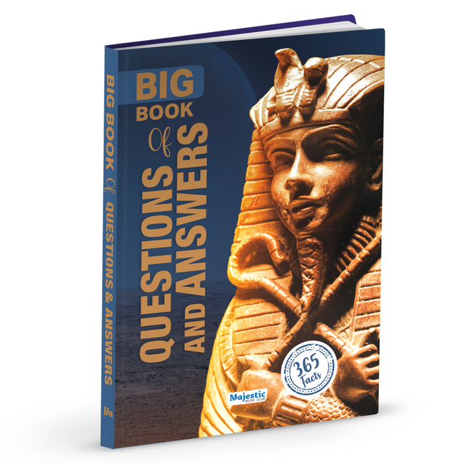 Big Book of Questions and Answers | 365 Fun Facts & Curious Questions for Kids Ages 9+ | Science, Nature, Space, History & More | Educational Encyclopedia | Ideal Gift for Young Learners