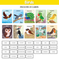 My First 100 Illustrated Flashcards: Animals - Explore The Animal Kingdom with Vibrant Illustrations, Fostering Early Learning and Curiosity in Toddlers.