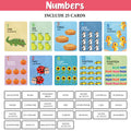My First 100 Illustrated Flashcards: Alphabet, Numbers, My Body & Shapes - Explore The ABCs, Numbers, Anatomy, and Shapes, Fostering Early Literacy, numeracy, and Cognitive Development in Toddlers.