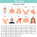 My First 100 Illustrated Flashcards: Alphabet, Numbers, My Body & Shapes - Explore The ABCs, Numbers, Anatomy, and Shapes, Fostering Early Literacy, numeracy, and Cognitive Development in Toddlers.
