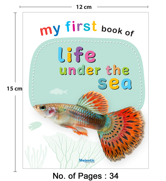 My First Book of Life Under the Sea | Early Learning Board Book for Kids Ages 4+ | Study Picture Book for Toddlers | Simple Words and Clear Pictures | Ideal for Gifting (My First Board Book)