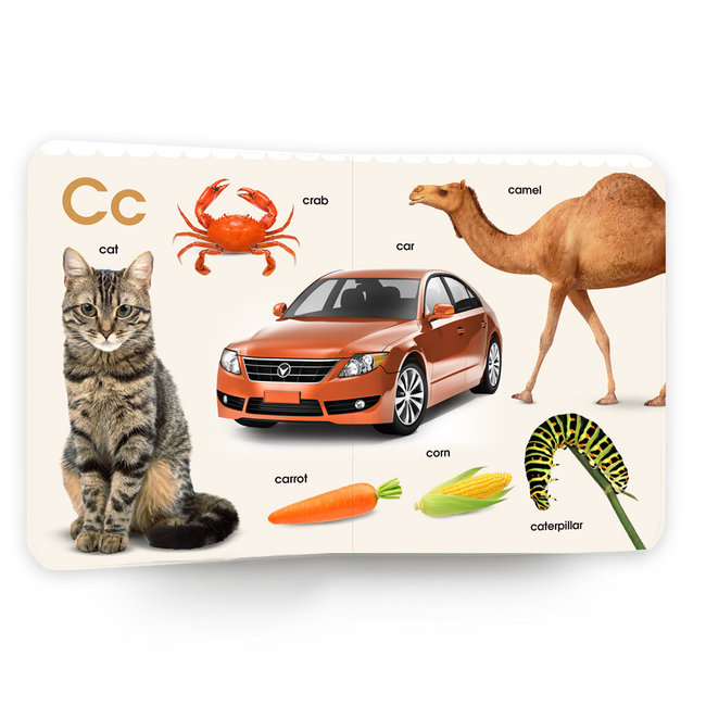 My First Book of Alphabet | Early Learning board book for kids age 2+ | A Perfect Picture Book for Toddlers | Ideal for Gifting