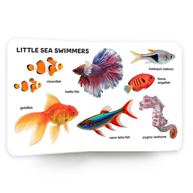 My first 100 creatures of the sea | 100 sea animals | Early Learning Board Book for Kids Aged 2+
