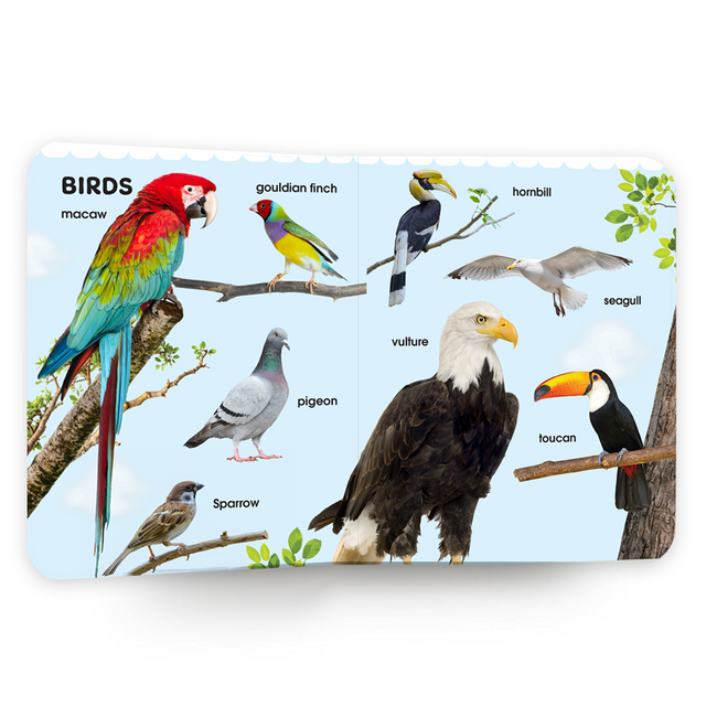 My first 100 Animals Book | Early Learning Board Book for Kids Aged 2+ | 100 Animals | Durable Picture Book for Toddlers