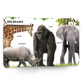 My first 100 Animals Book | Early Learning Board Book for Kids Aged 2+ | 100 Animals | Durable Picture Book for Toddlers