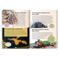 121 Wild & Marine Animals Facts Book for Kids Ages 8+ | Educational Paperback with Colourful Images & Bold Text | 121 Curious Facts for All Ages