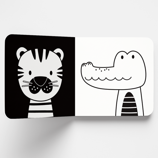 High Contrast Books for Babies & Infants | Box Set of 6 Books | Black & White Educational Books | Visual & Sensory Stimulation