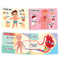 Picturepedia of My Body I Board Book for Kids Age 2+