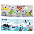 Picturepedia of Birds I Board Book for Kids Age 2+